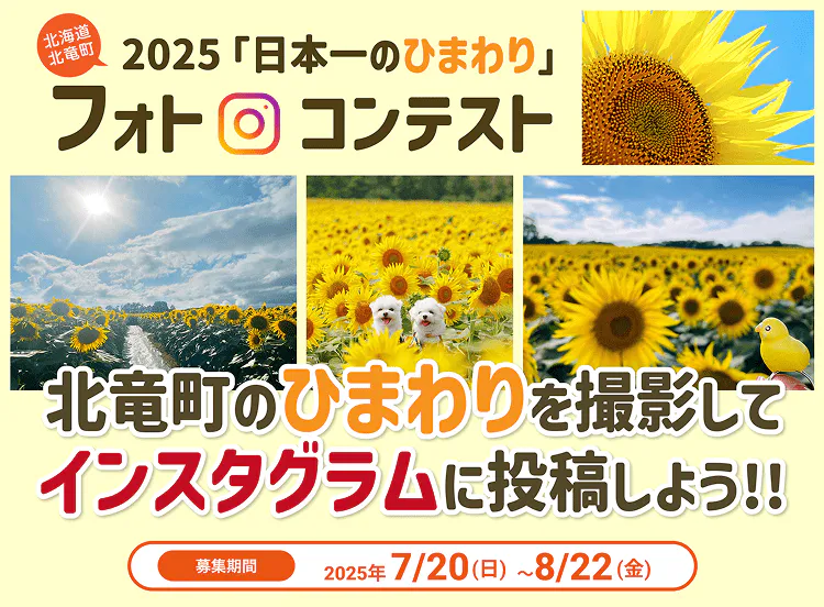 2025「日本一のひまわり」フォトコンテスト 北竜町のひまわりを撮影してインスタグラムに投稿しよう！！